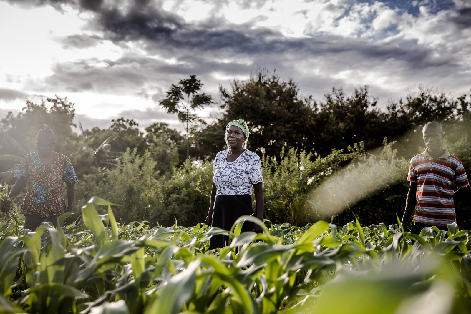 Women’s equality in agrifood systems could boost global economy by $1 trillion: FAO