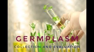 China collects 124,000 new agricultural germplasm resources