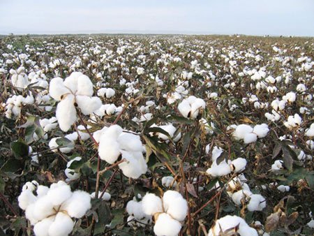 China’s textile industry needs Midas touch