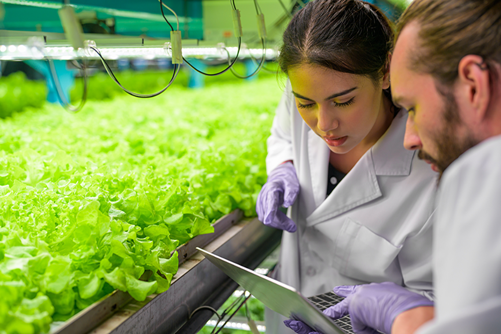 Australia’s agricultural R&amp;D investment on the rise