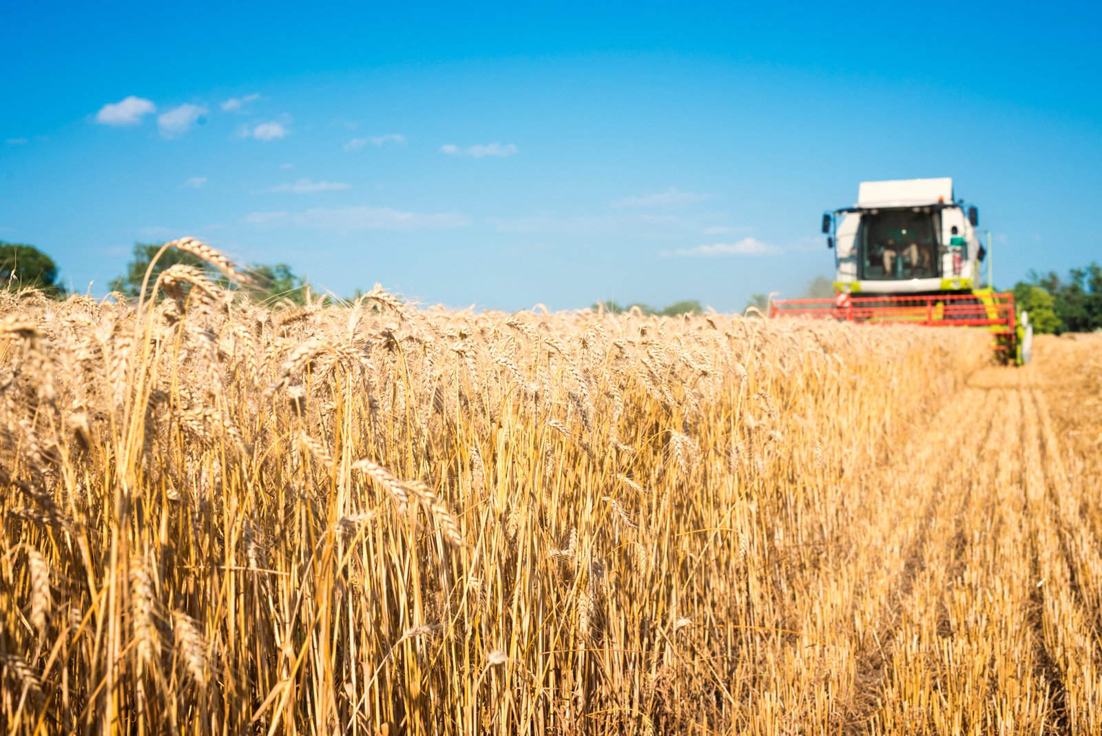 ADM Milling's UK pilot project maps carbon emissions in its wheat supply chain
