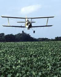 China allocates $181 Mn for crop pest control