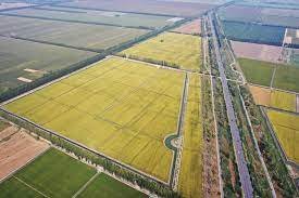 China Laos signs pact to promote agricultural tech cooperation 