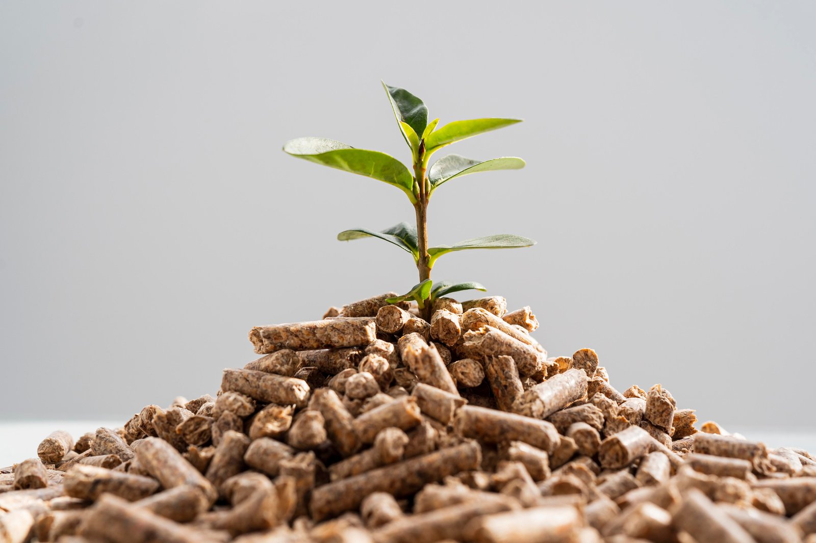 Green Ammonia Technology to produce Zero-carbon nitrogen fertilizer for the US market