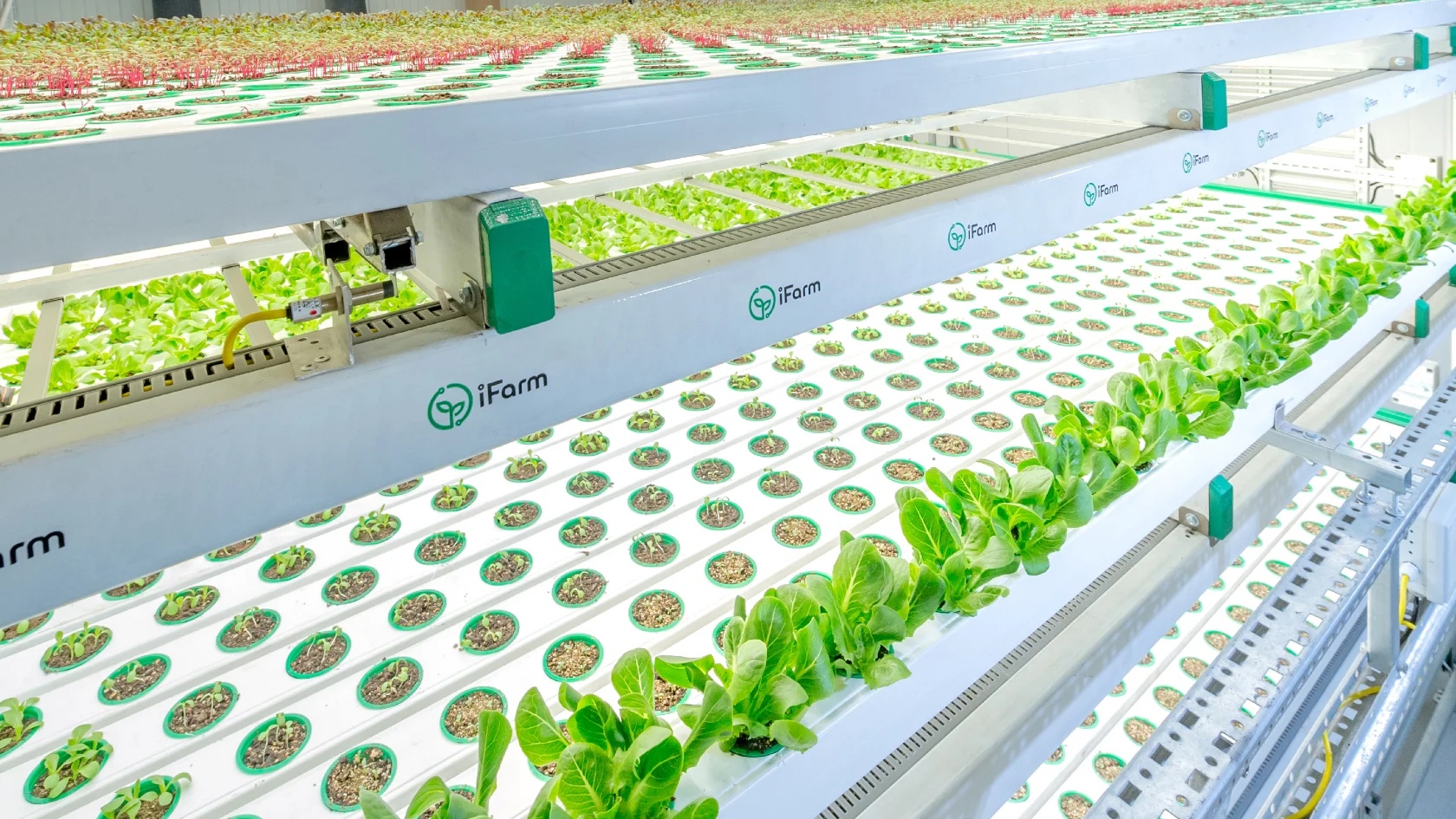iFarm to construct the world’s largest High-Tech Vertical Farm in Mexico