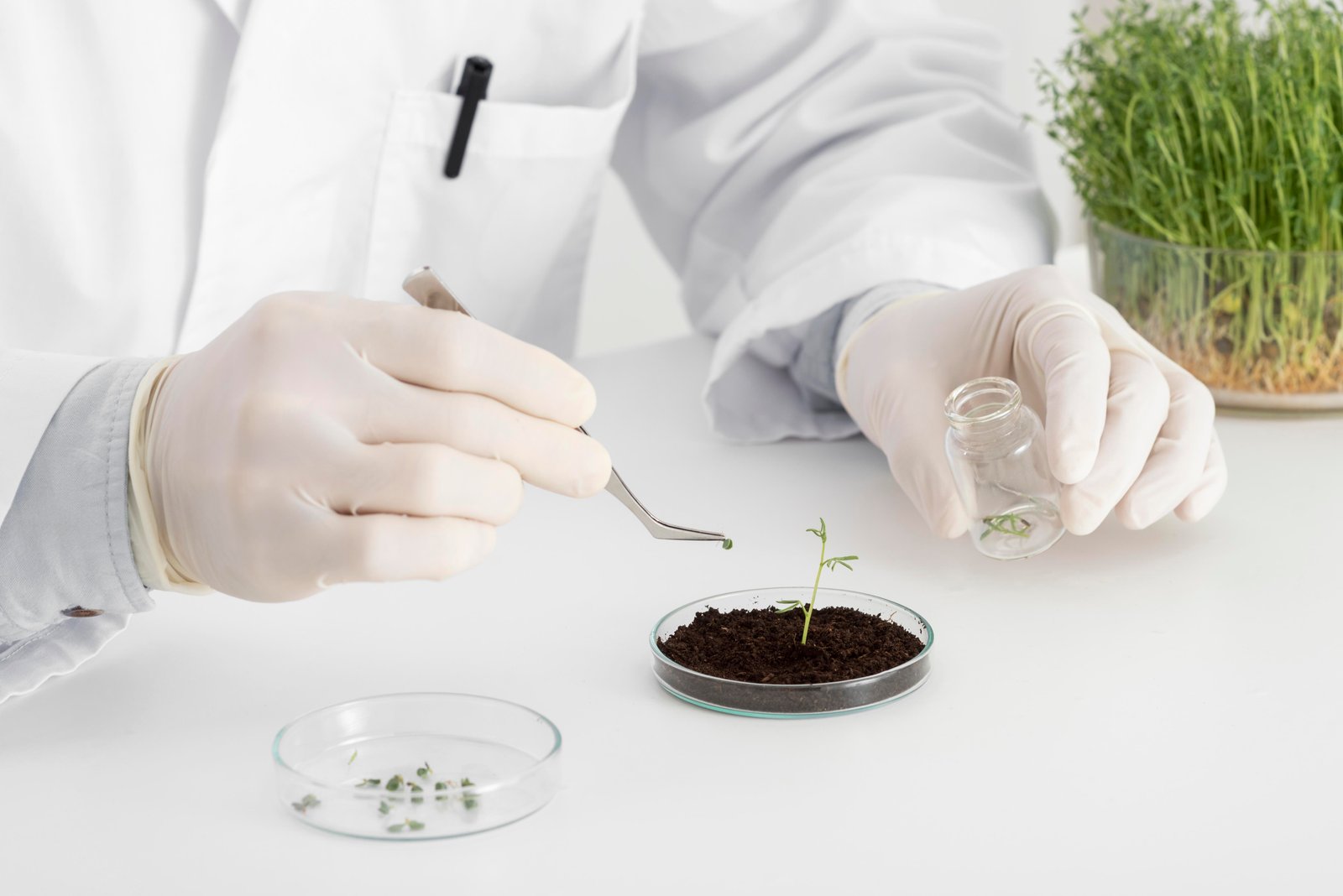 GRDC injects $3.5M to enhance soil organic matter in Australia