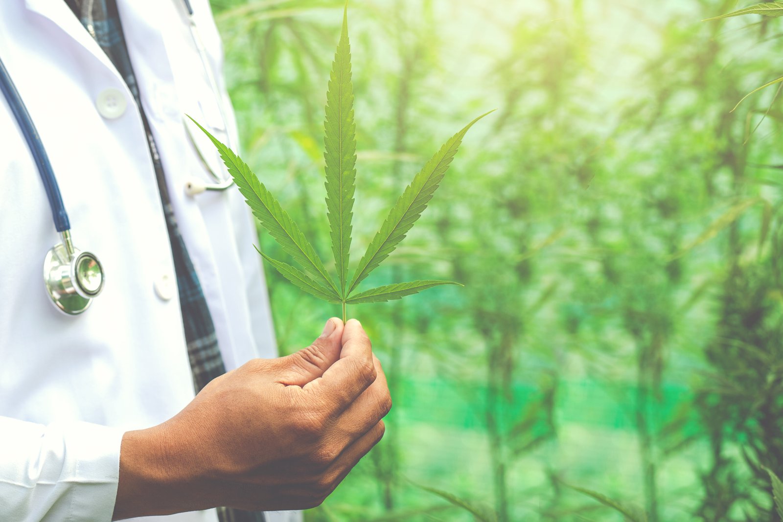 Aurora and MedReleaf Australia to strengthen medical cannabis supply chain