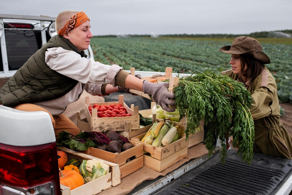 Queensland’s AgriTech revolution: innovation driving sustainable farming
