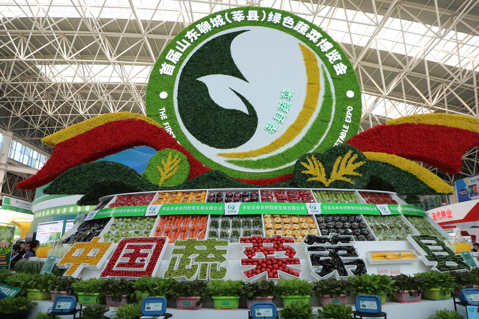 China’s first Shandong Liaocheng Green Expo showcases vegetable industry