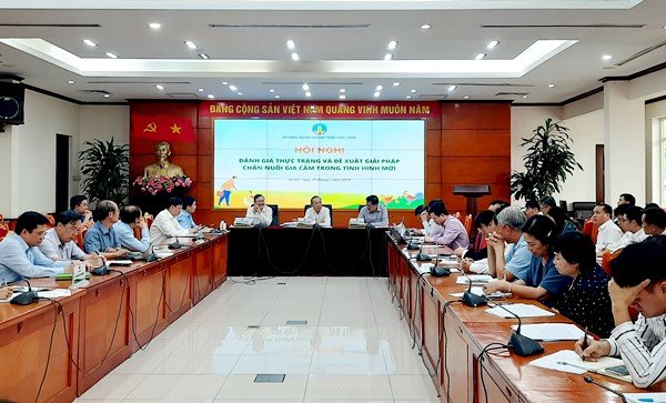Vietnam vows to revive domestic poultry operations to boost the livestock industry
