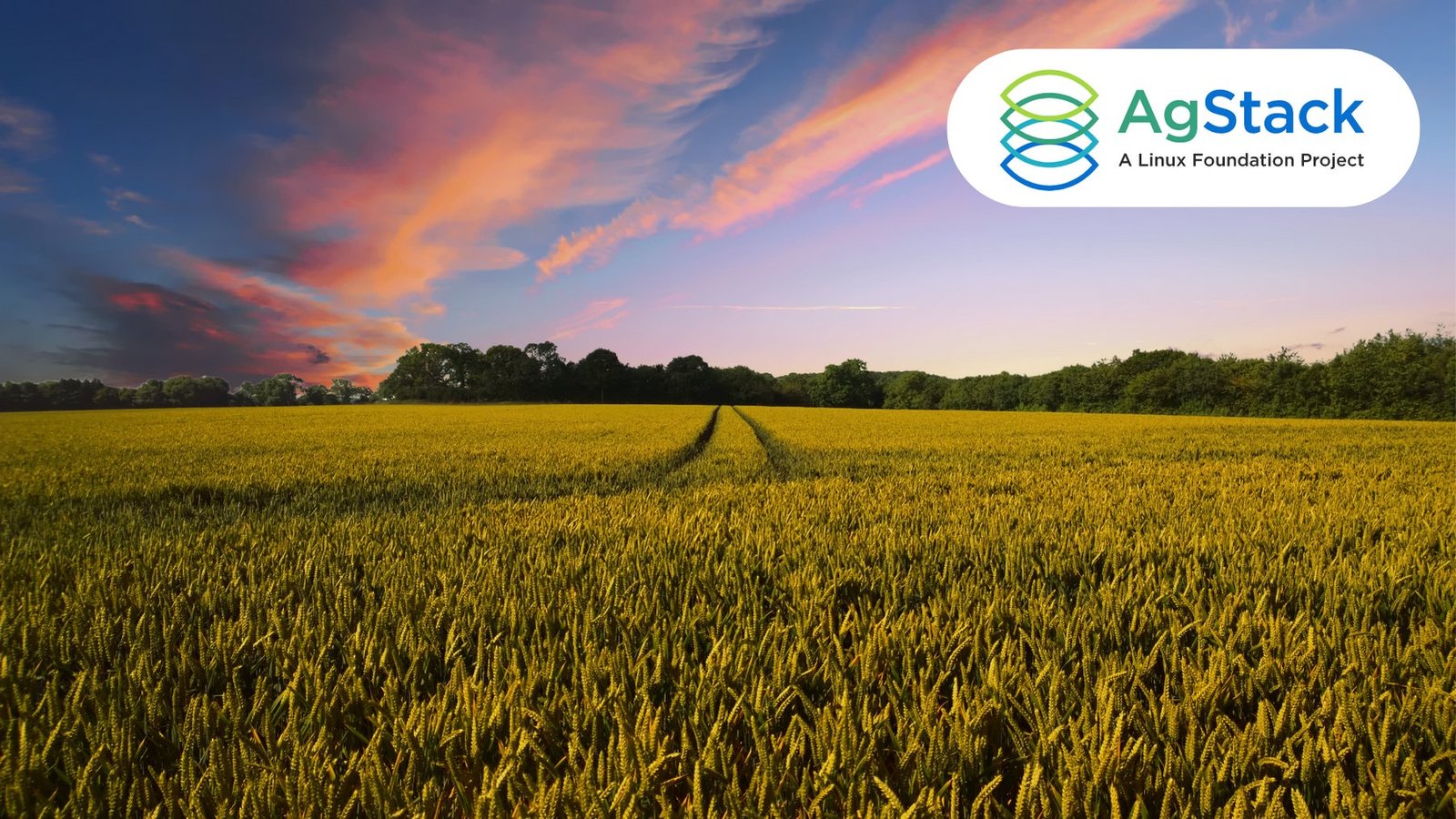 AgStack initiates a global scientific alliance for in-field carbon accounting in agriculture