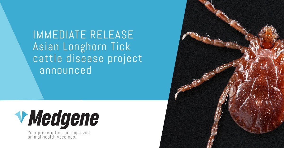 NIFA triggers investigative study on Asian longhorned tick causing livestock diseases