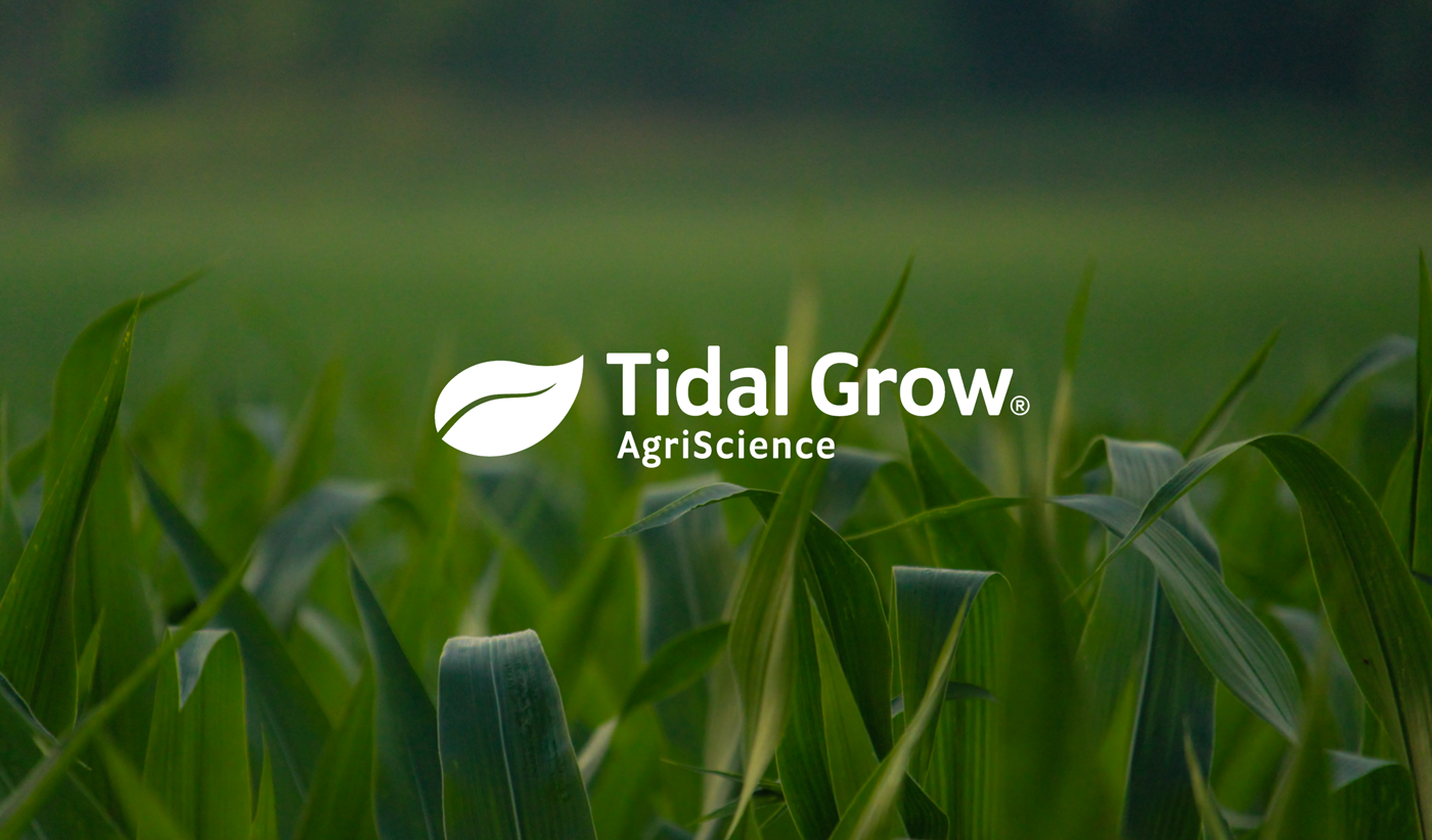Tidal Grow's innovative Ag-tech tools to tackle routine agricultural challenges