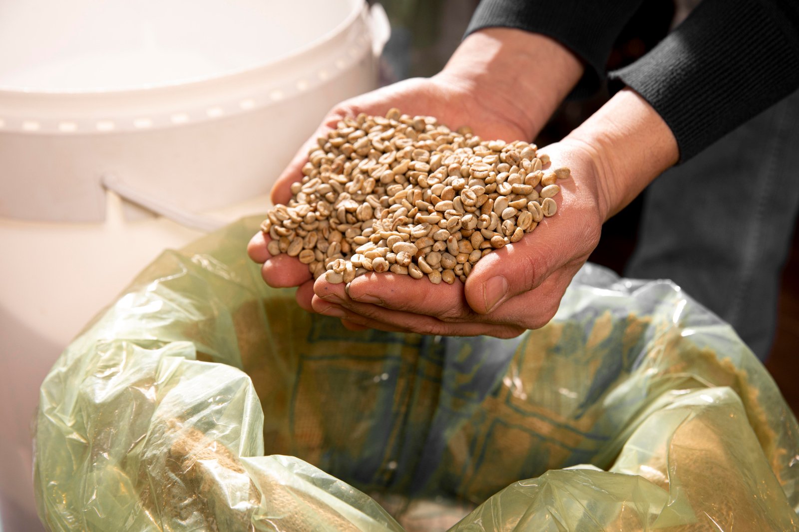 Evonik launches the next-generation feed additive product for animal feeds