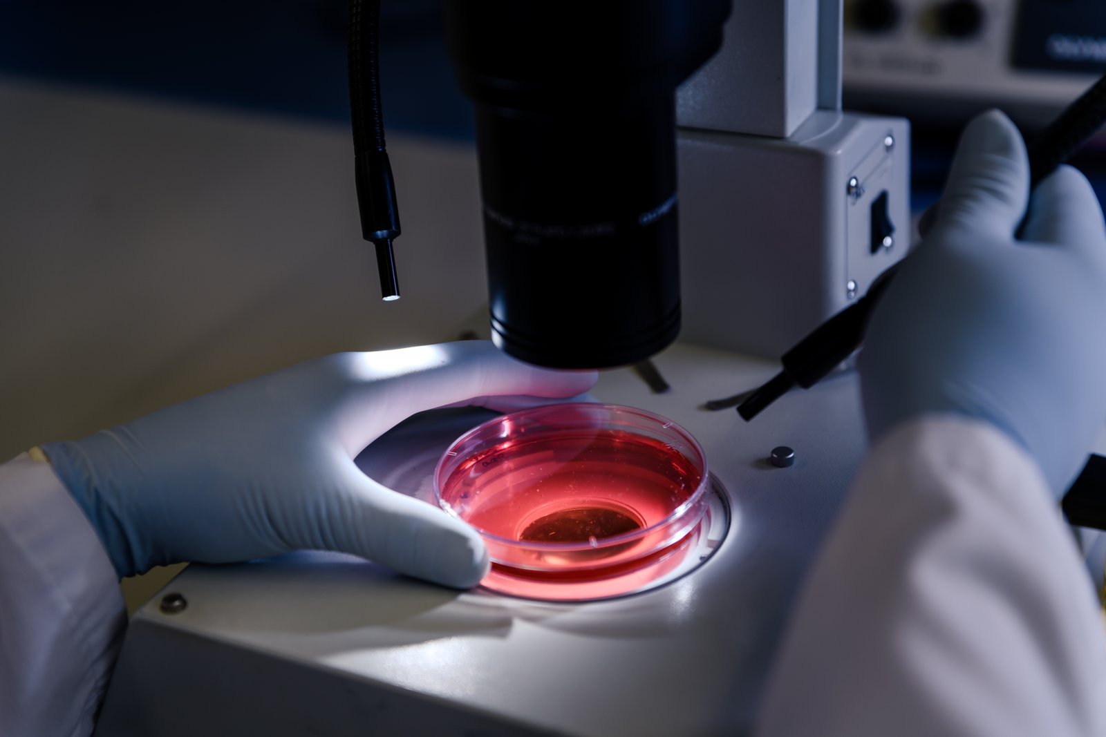 AI to reduce cultivated meat production costs and shorten time-to-market