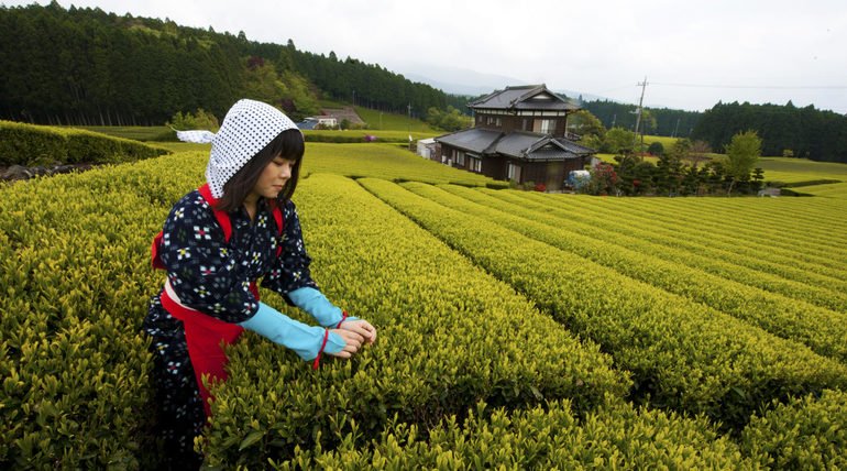 Taiwan US trade pact to benefit Taiwanese agri export