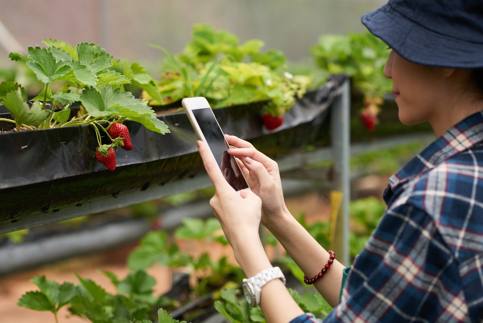 JWEL revolutionizes social media marketing of agricultural and fishing products in China