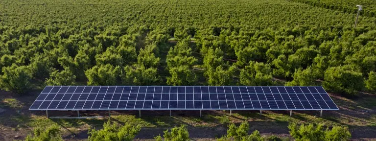 Germany’s GRIPS Energy inaugurates solar plant in Senegal 