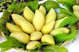 Vietnam ranks 3rd in mango exports to Korea