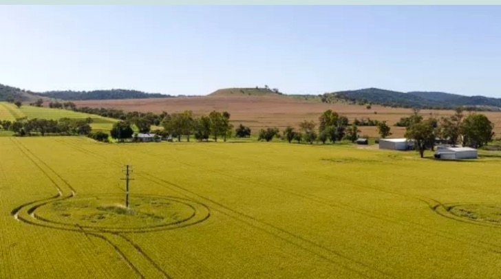 CEFC and CDPQ announce strategic partnership on agricultural land in Australia
