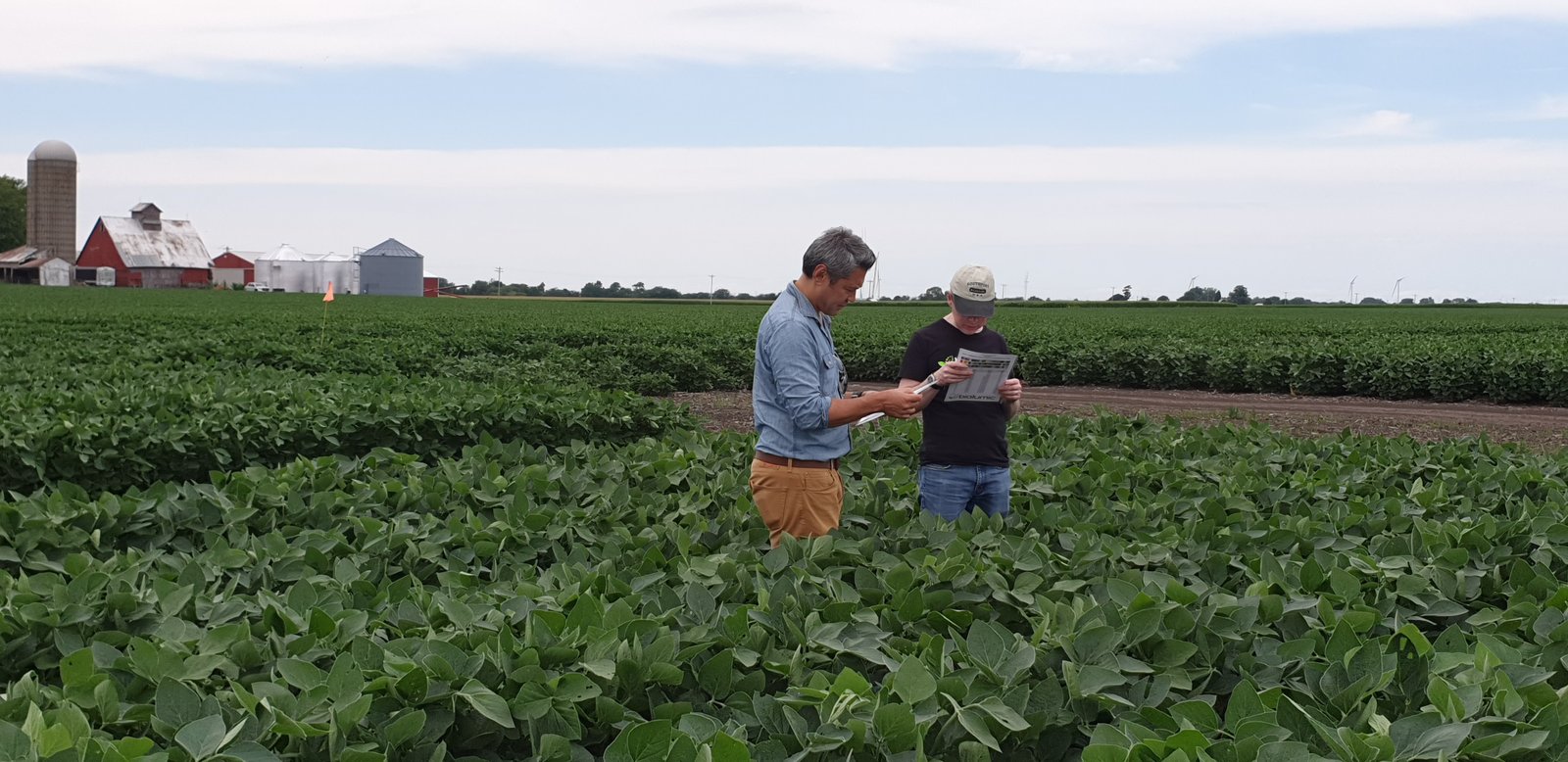 New Zealand's BioLumic scales first UV Light Technology for Corn and Soybeans