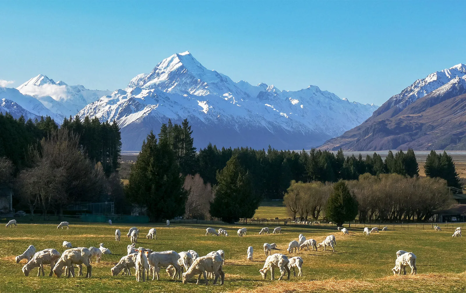 Environment investments support New Zealand’s high-value exports