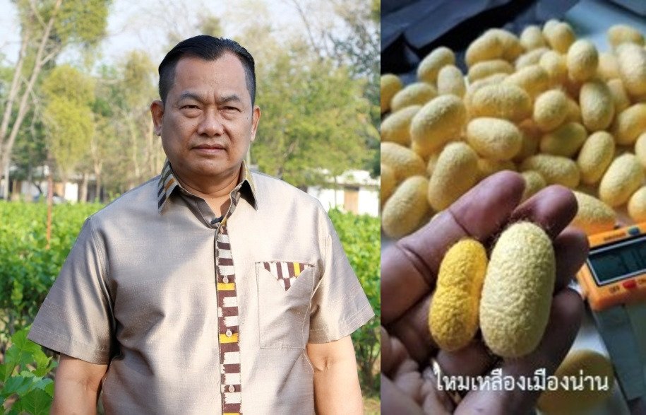 Thailand's Sericulture researchers develops improved silk varieties