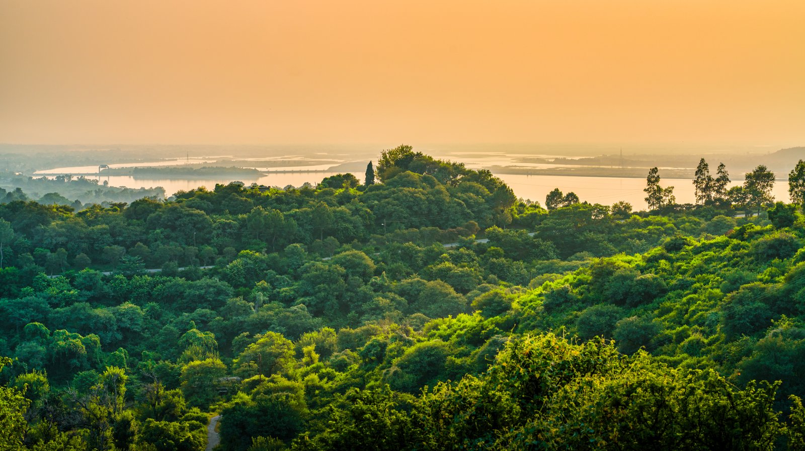 Singapore's GMT launches Global Mangrove Trust Restoration and Conservation project in Indonesia