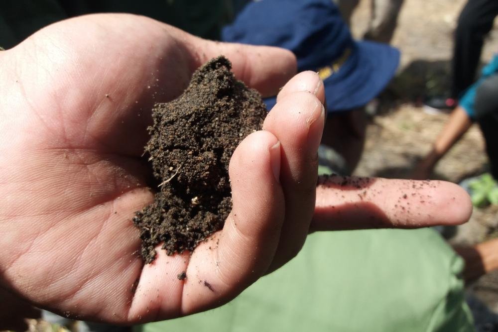 Australia’s new soil practitioner accreditation hits the ground running