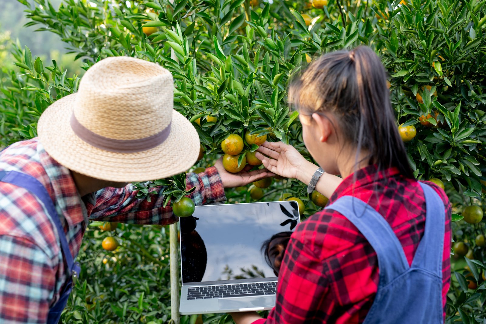 USDA prepares for Agri-Trade Mission to Japan strengthening bilateral cooperation