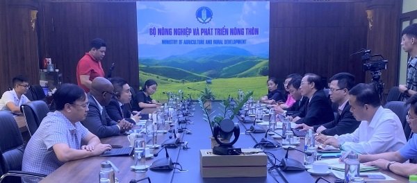 Vietnam and FAO strengthen cooperation towards animal husbandry and animal health