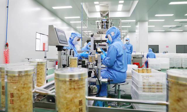 Southeast China's Gutian County reaps success in mushrooms farming