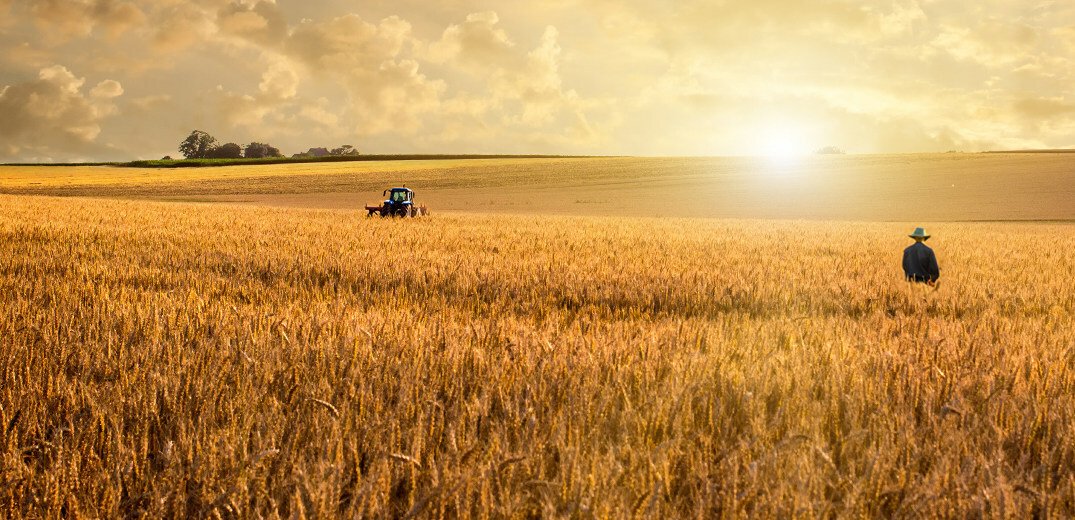 Nestlé Advances Efforts to Source Key Ingredients Grown with Regenerative Agriculture Practices