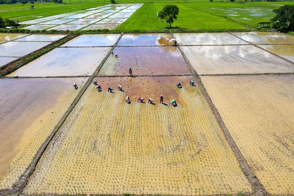 Philippines Agriculture department implements water management strategy to improve irrigation