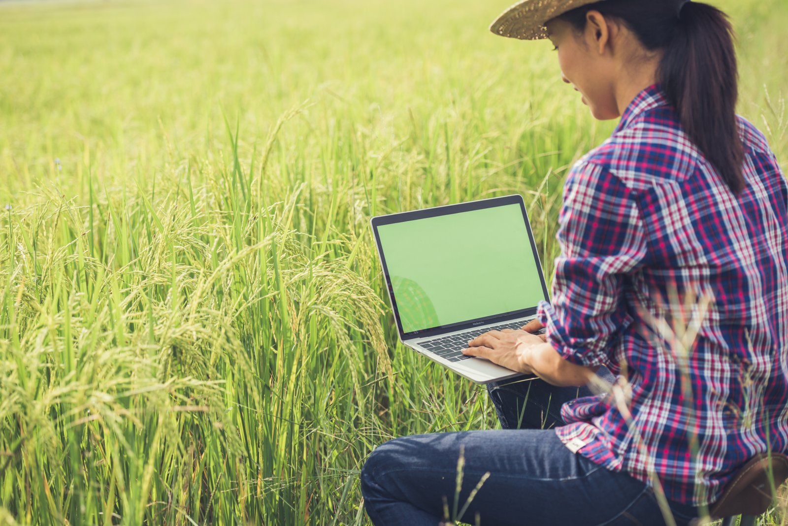 Vietnam reports trade surplus $12.26 B in 2023 with significant contribution from agricultural sector