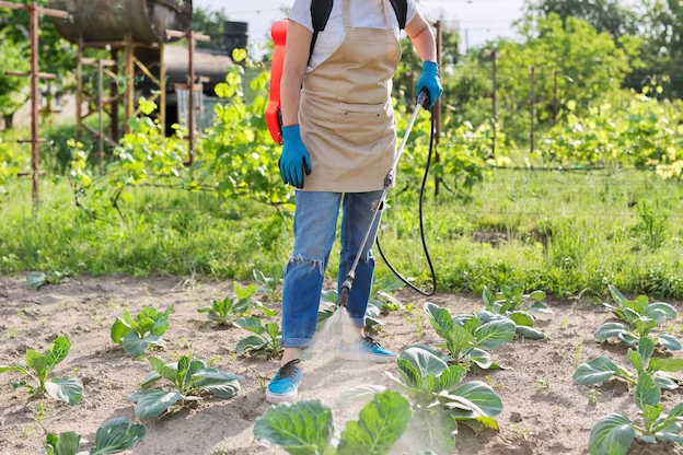 Syngenta launches next-gen insecticides