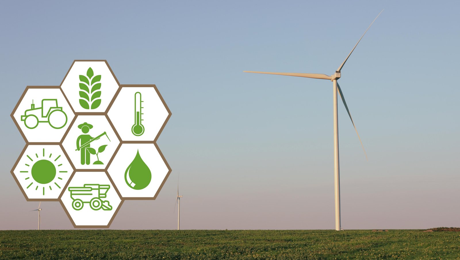 FAO launches Action Plan for ambitious climate strategy