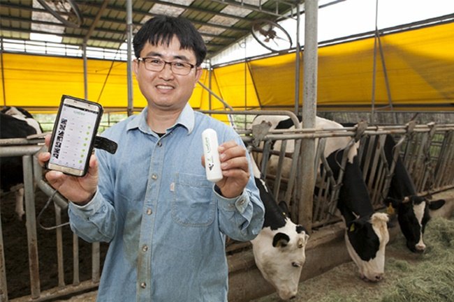 Korea's SKT launches ‘Live Care’, IoT-based Livestock monitoring system