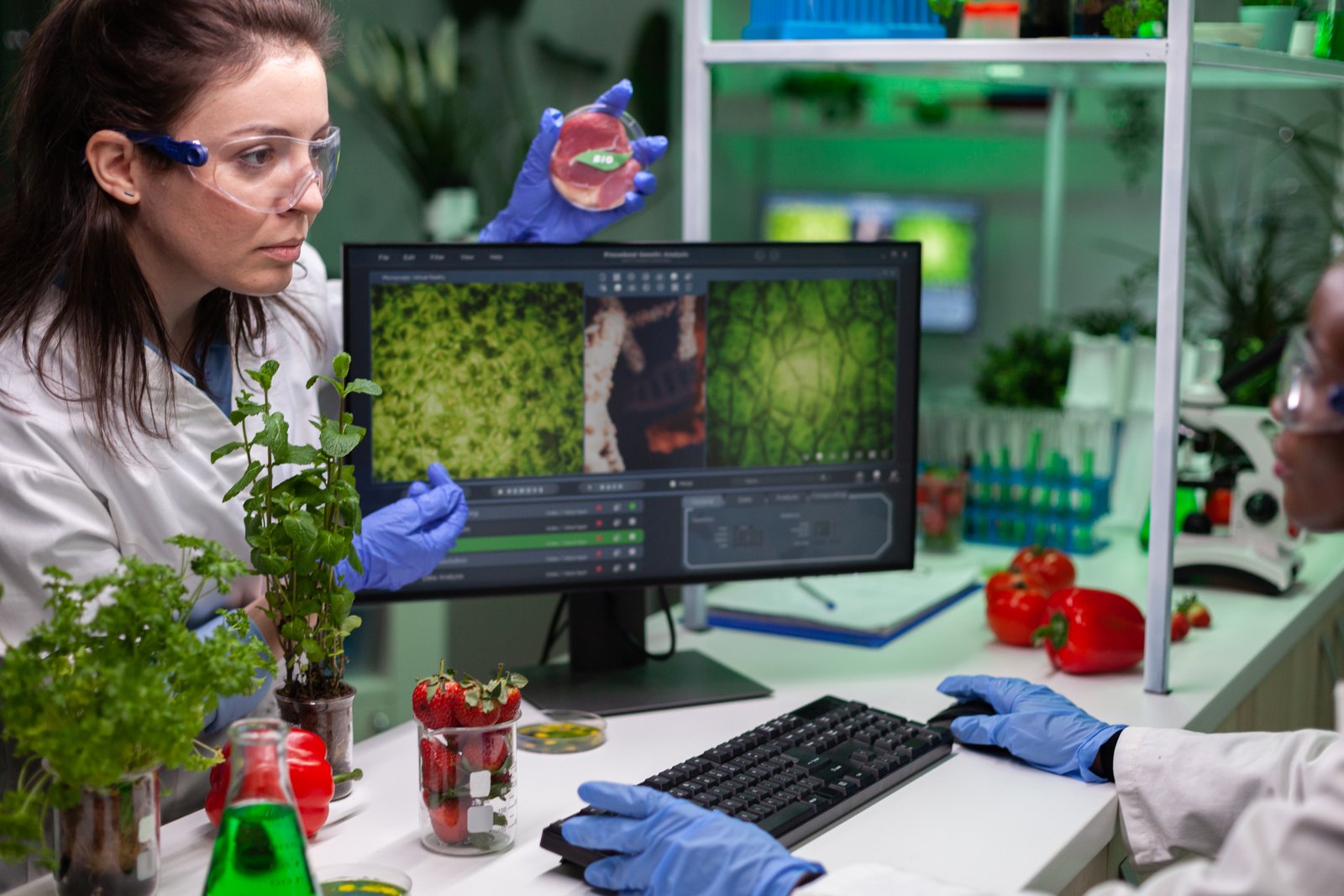 Australia commits AU$2.8M to strengthen biosecurity in North to combat plant pest and diseases