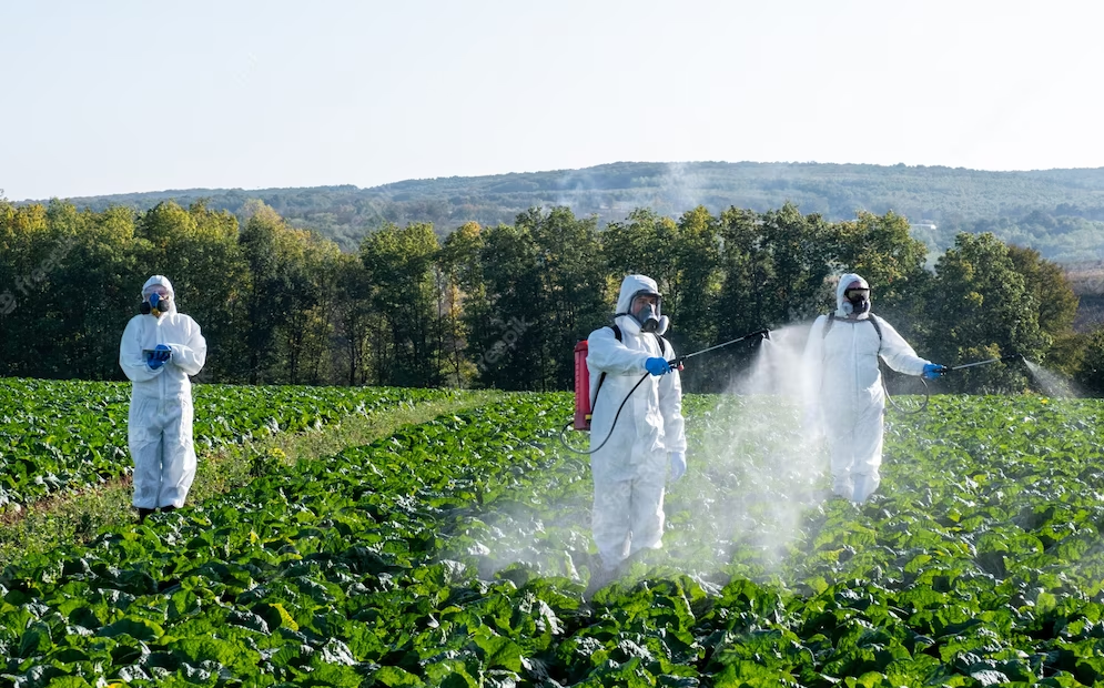 China's Shandong Jingbo Biotech to build capacity for insecticide