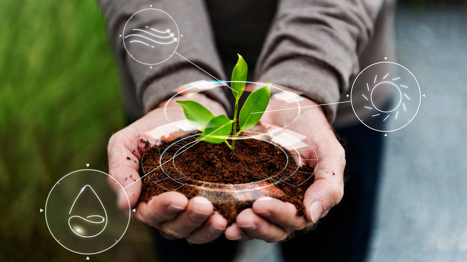 SILAL and Bayer partners to drive open Innovation in Agriculture
