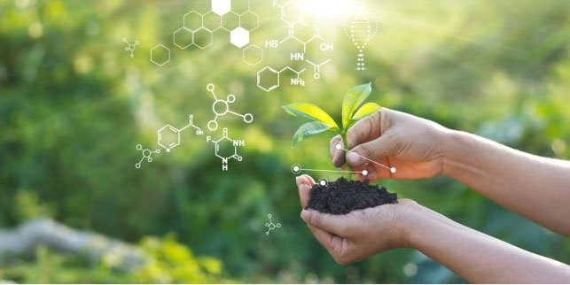 Bionema stimulates organic growth with a new range of biostimulants