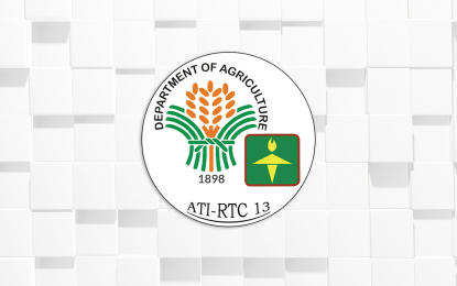 Philippines boosts IT Agrihubs in Caraga by PHP4.6 million