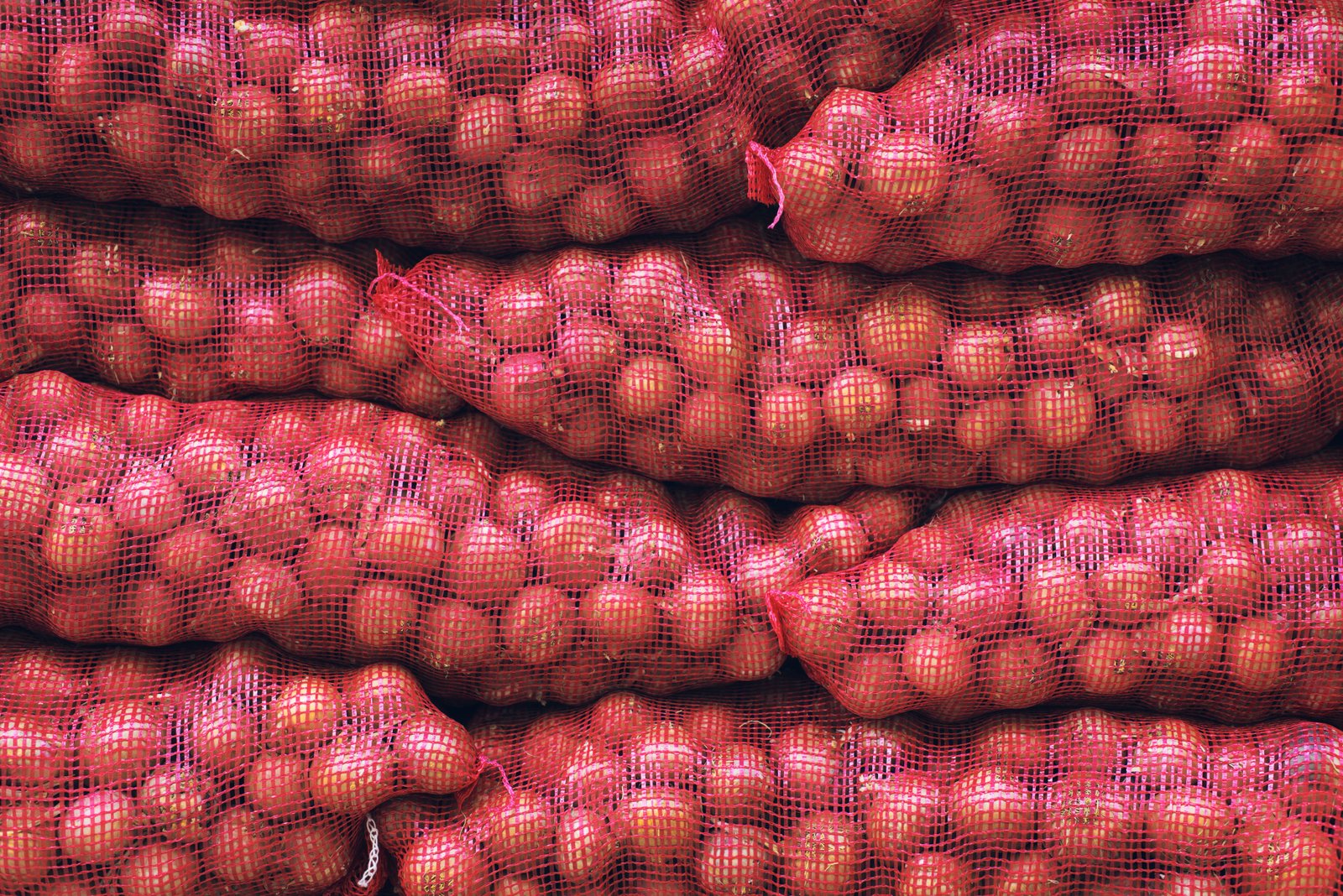 Philippines invests P80 million to construct onion cold storage facilities in OccMdo