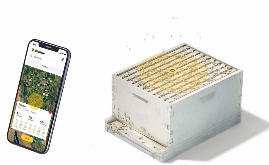 BeeHero launches Pollination Insight Platform (PIP)