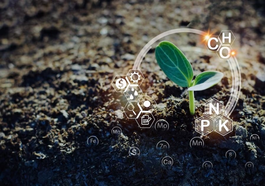 Biofertilizers in Asia: Trends, prospects, and Growth Potential