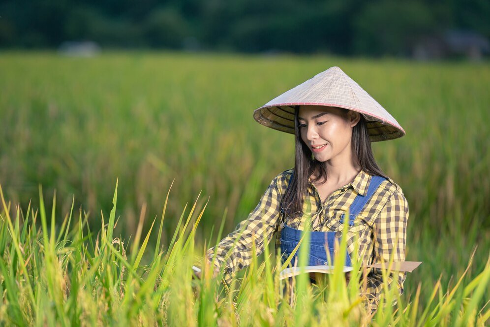 Thailand accelerate Thai SMEs to use FTA benefits and to compete in the international market