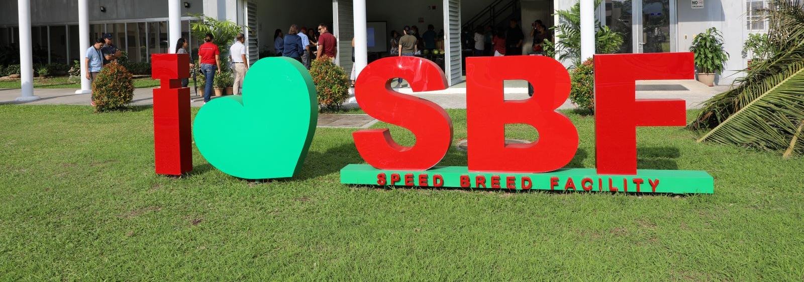 International Rice Research Institute (IRRI) inaugurates its Speed Breed Facility