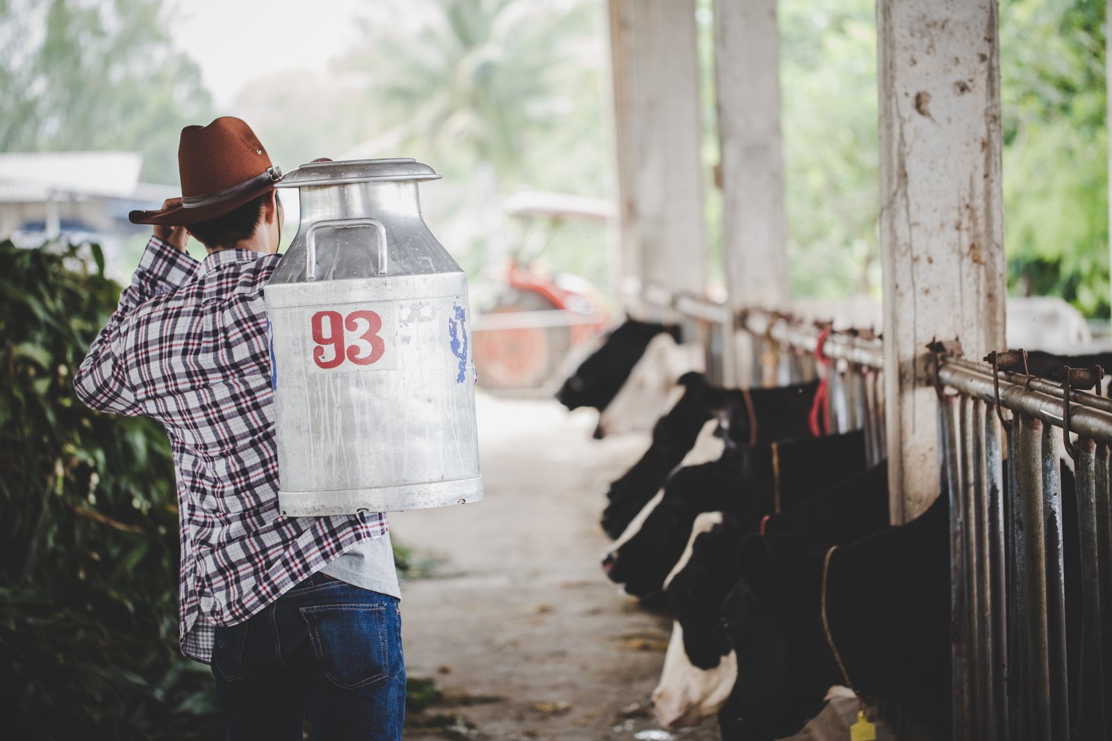 Vietnam is New Zealand’s seventh-largest dairy export market by value