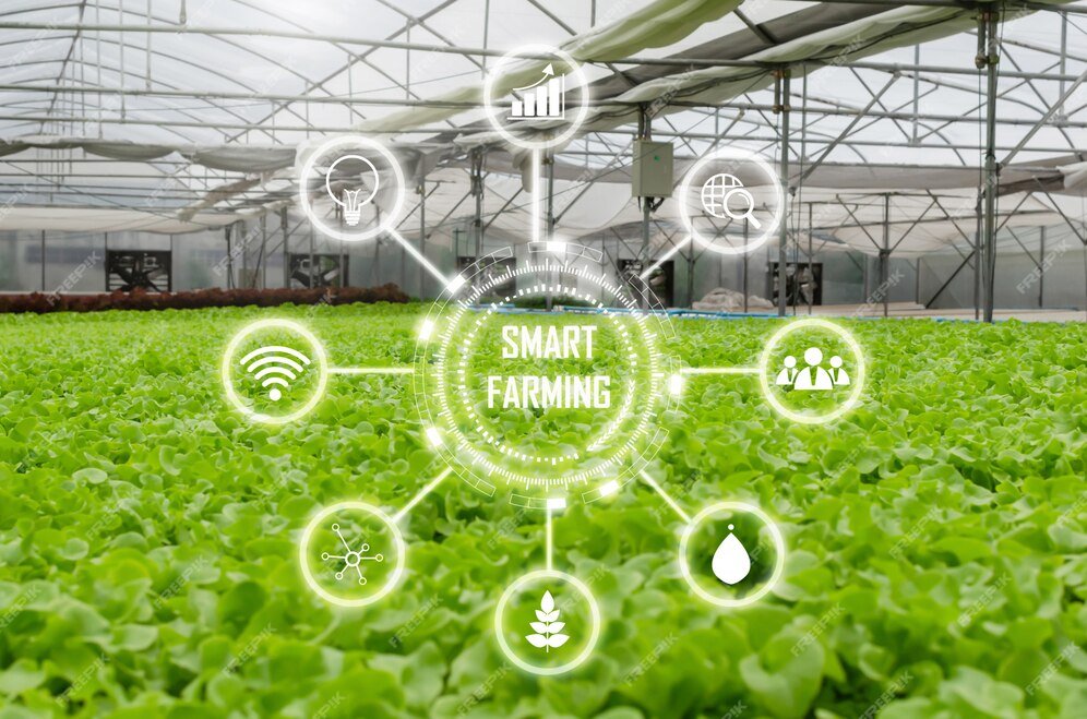 Korea to open new opportunities in the Middle East with K-Smart Farming